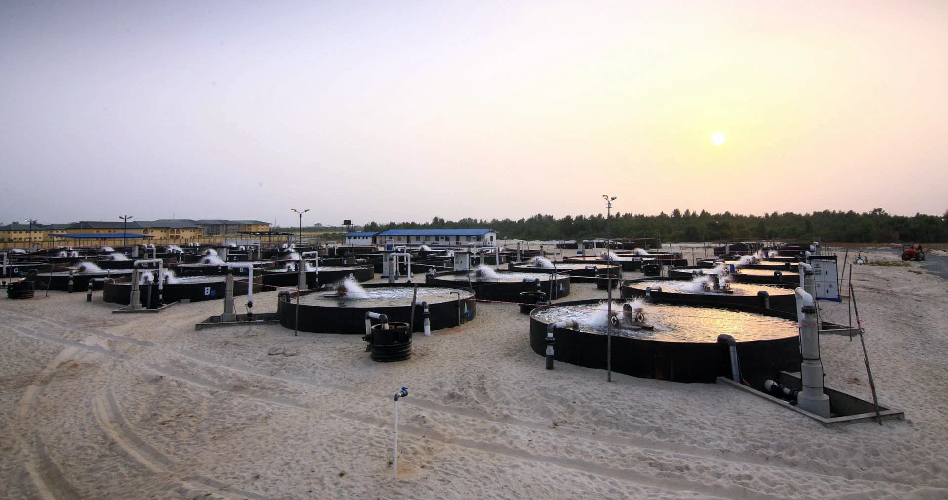 Commercial aquaculture tank farm batteries