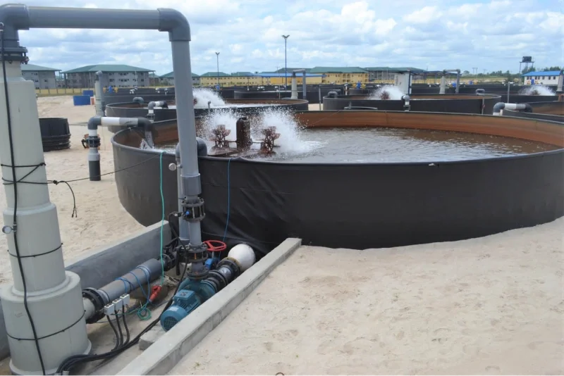Fish farm grow-out tank with non-toxic liner