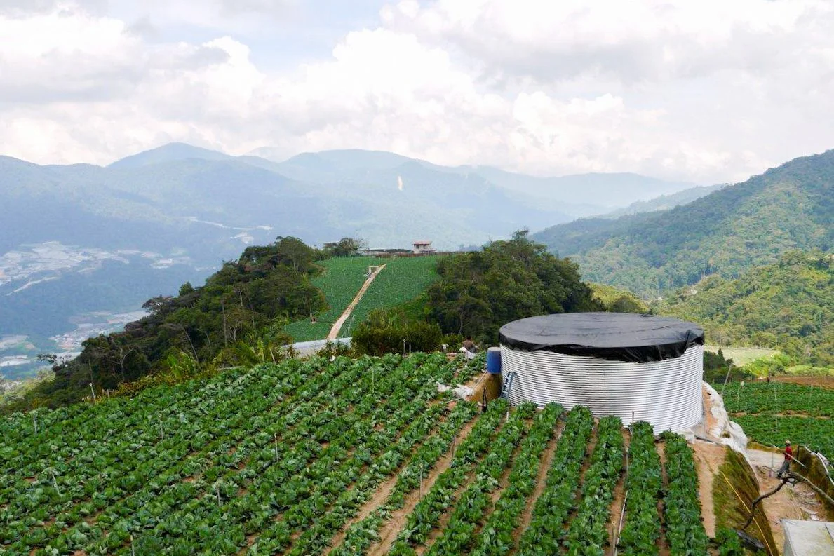 Rainwater harvesting collection reservoir