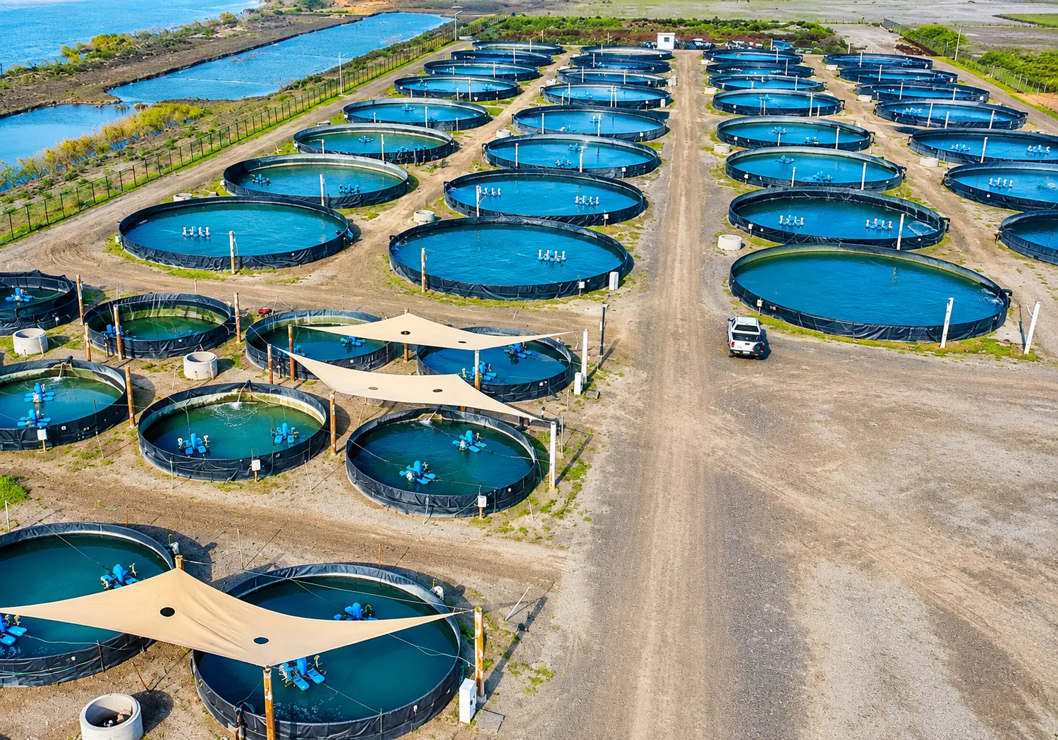 Galvanized steel aquaculture fish rearing tanks with safe liners