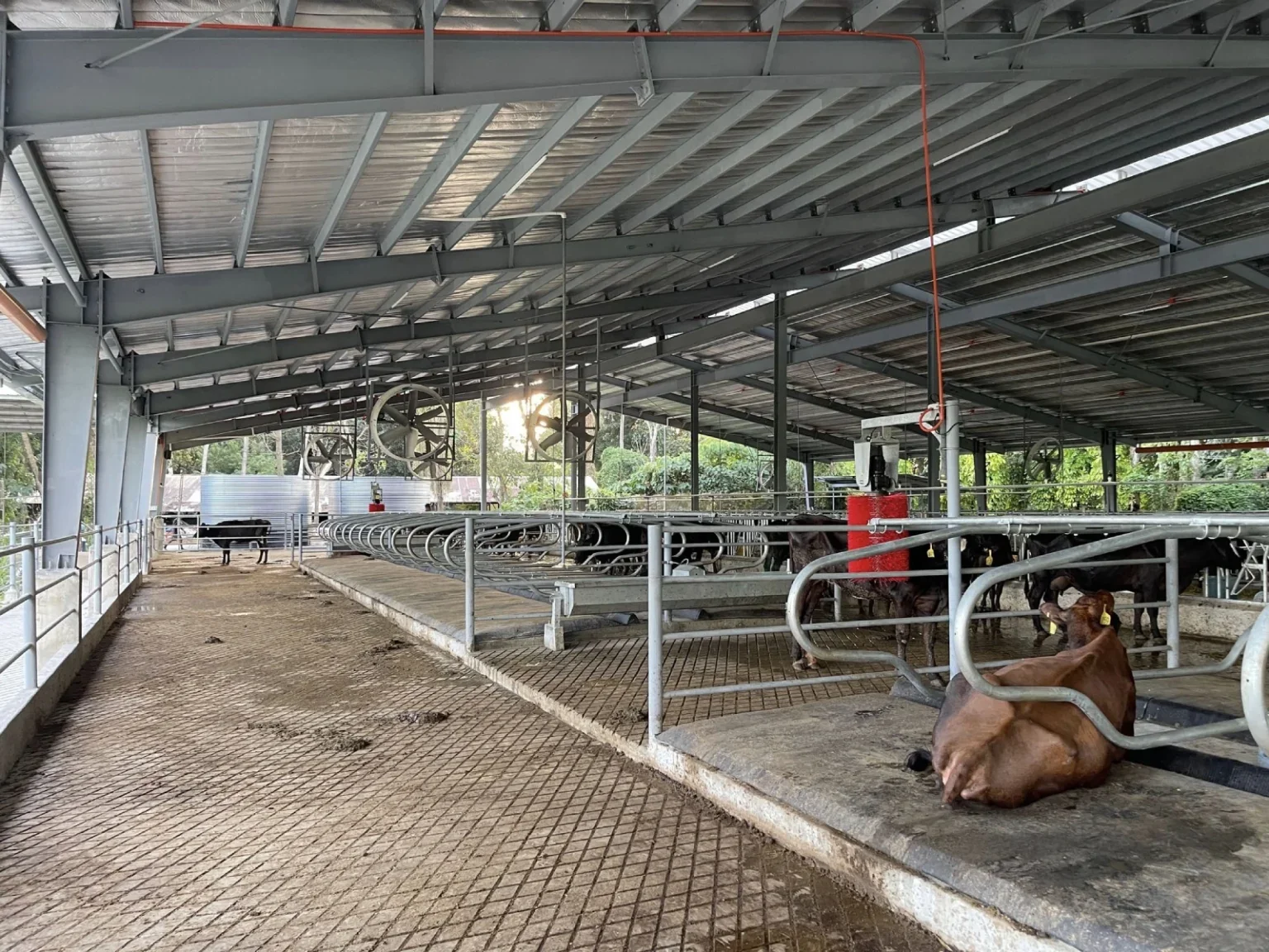 Dairy and livestock washdown water silo
